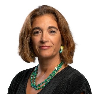 Telma Guerreiro
